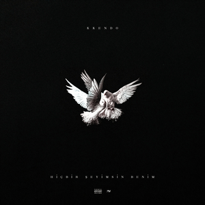 hiçbir şeyimsin benim