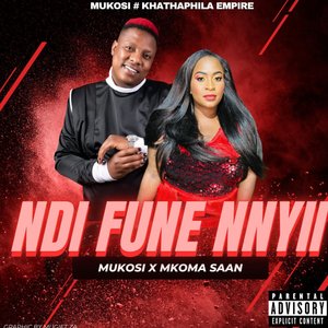 Ndi Fune Nnyi