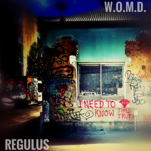 W.O.M.D.