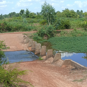 ก็คนไม่มีเพื่อน