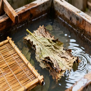 Silkworm Cocoon's Sheen