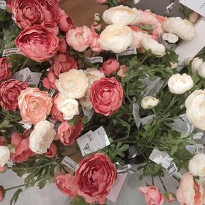 无题（Cover：姜云升）