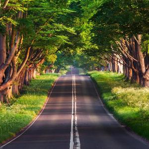 公路 (4)