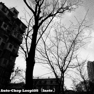 Auto-Chop Loop105（Instr.）