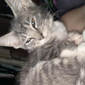 Dim Lights (feat. oSdBlEaCh & The Archives)