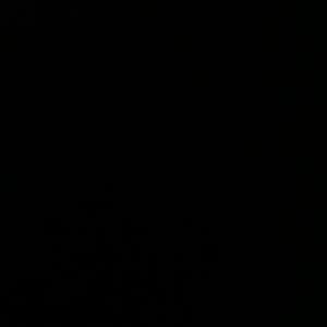 秦始皇骑北极熊