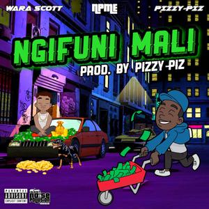 Ngifuni Mali (feat. Wara Scott)
