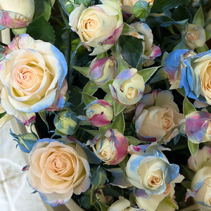 数不完对你的想念