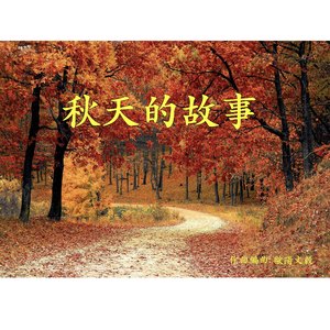 秋天的故事