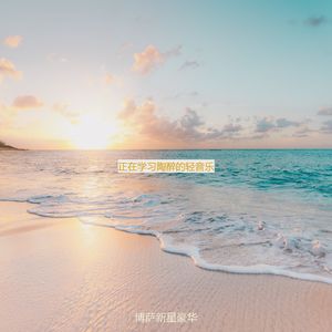 正在学习陶醉的轻音乐