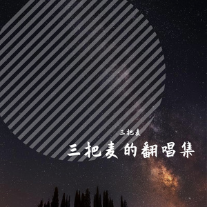 平淡日子里的刺（Cover 宋冬野）