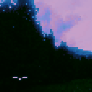 //  f  o  r  e  s  t