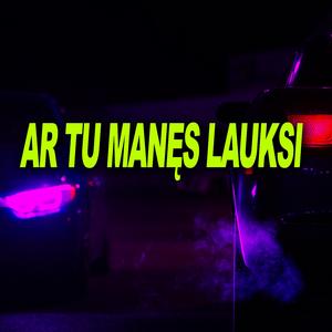AR TU MANĘS LAUKSI (feat. Naujos Pupytės) (Remix)