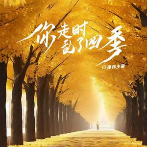 你走时乱了四季