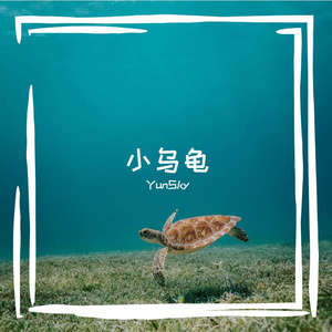 小乌龟