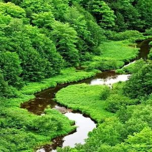 心灵的树洞Prod By Wazier