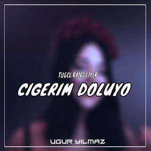 Ciğerim Doluyor (Remix)