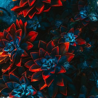 Trance | 迷幻试剂