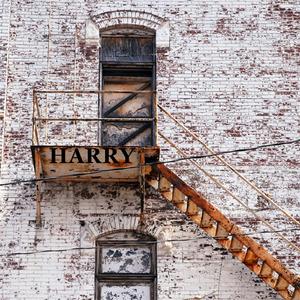 벚꽃, 이별을 스치다