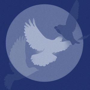 BlueBirdS