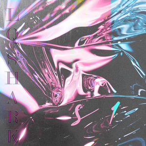 S1