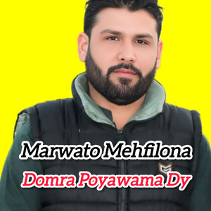 Domra Poyawama Dy