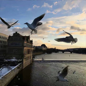 爱死了昨天前奏