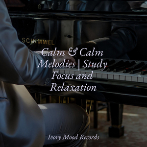 Shadowed Skies Beckon