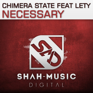 Necessary (UDM Remix)