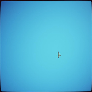 もう頑張らなくてもいいんだよ 自分のペースで歩けばいい