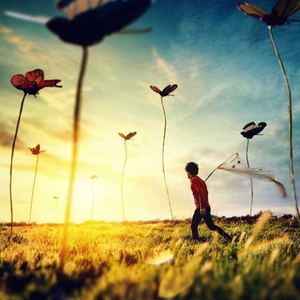 浮生辞（翻自 银临）