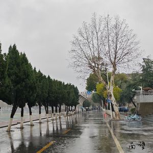 南望（Prod.Gr33nartBeats）