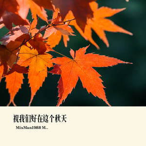 祝我们好在这个秋天