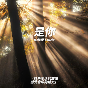 梦然-是你 DJ张灵玉RMix