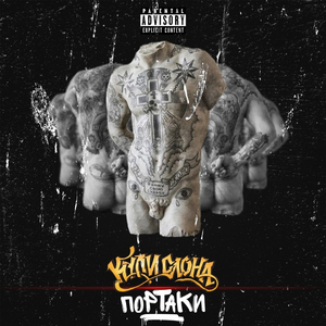 Портаки