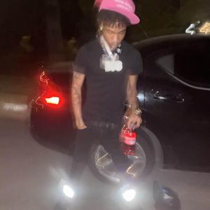 Littest Yn