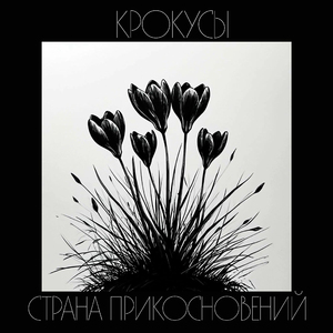 Крокусы (Иным не будет март)