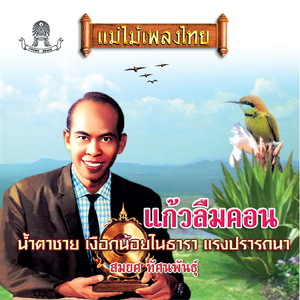 แก้วลืมคอน