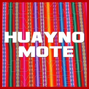 Huayno Mote (Tech House)