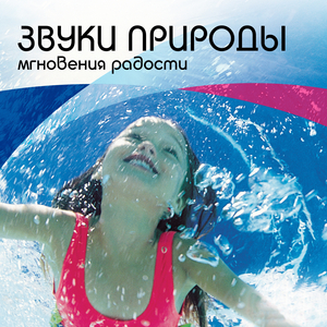 Лесной ручей