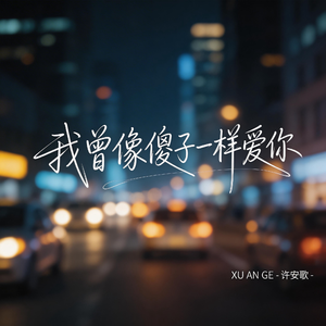 我曾像傻子一样爱你（抖音热播版）