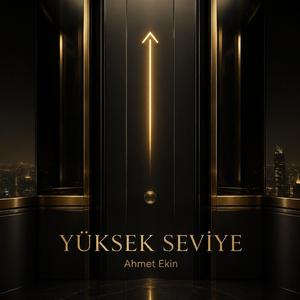 Yüksek Seviye