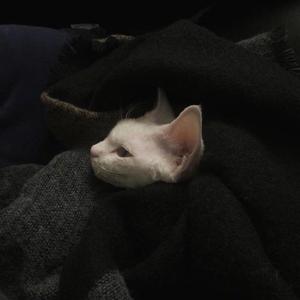 讨（prod by.澜）