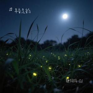 静悄悄 (DJ版) (Cover 陈泫孝)