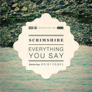 Everything You Say (Album Instrumental) [feat. Heidi Vogel]