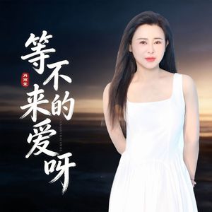 等不来的爱呀（节奏版）