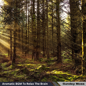 Shadows Lulling to Sleep