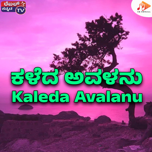 Kaleda Avalanu
