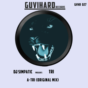 TRI (Original Mix)
