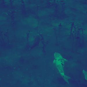 柔和的河流与溪流时刻